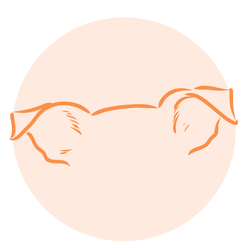 Services éducateur et comportementaliste canin vallée du gresivaudan